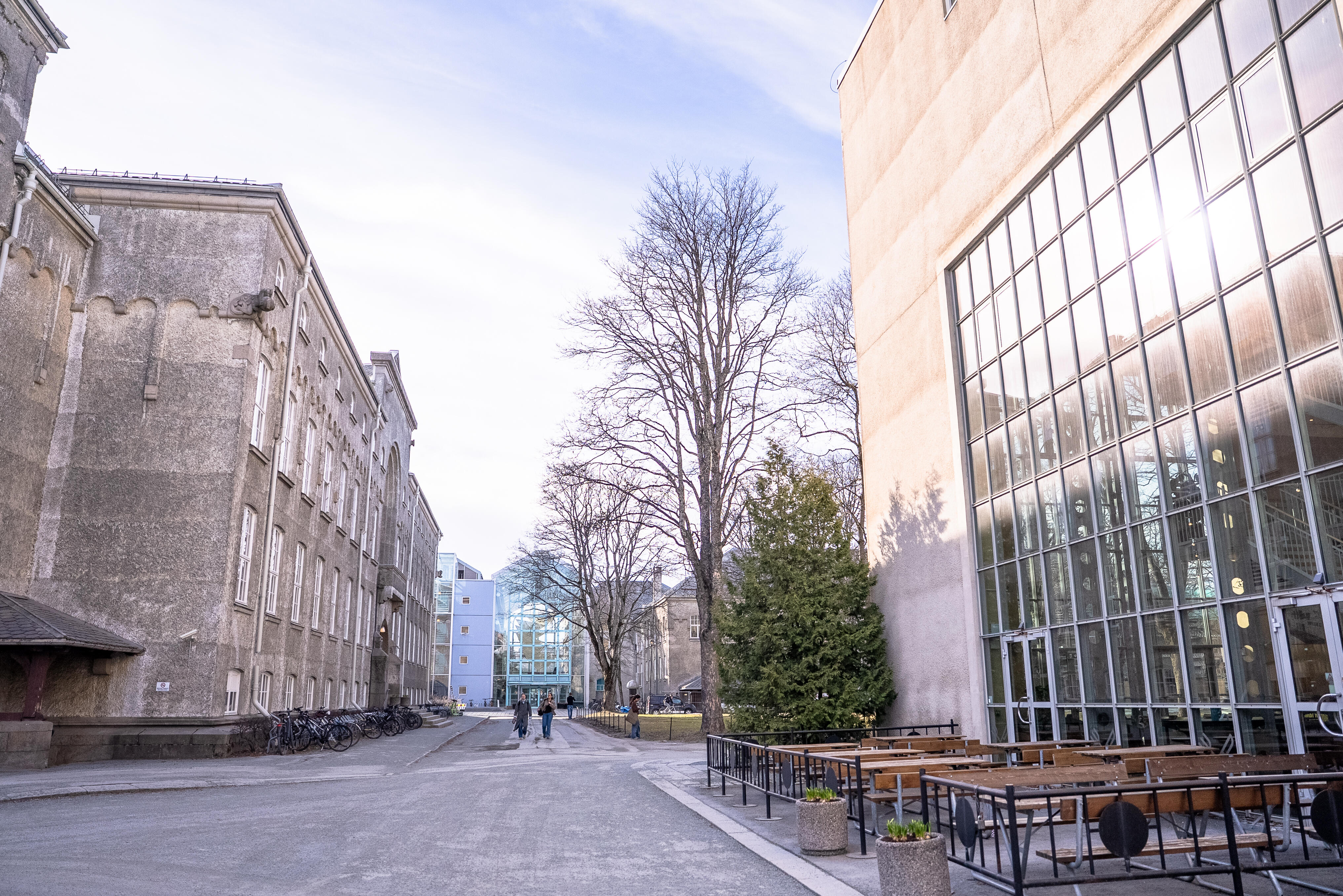 Kontorbygninger på Gløshaugen fra bakkenivå
