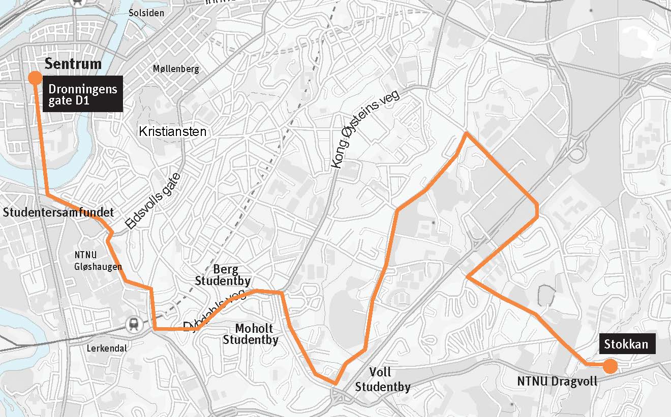 linjekart for nattbss linje 113